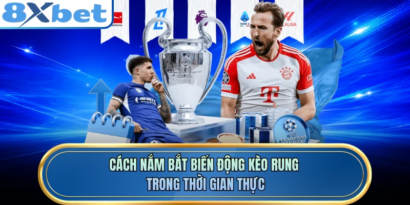 Cách nắm bắt biến động kèo rung trong thời gian thực
